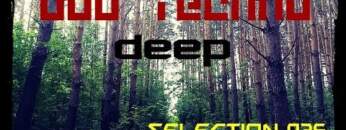 Deep DUB TECHNO || Selection 036 || Echoes in the