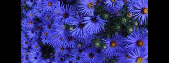 Dub Techno Music Set In The Mix #7 By Klaüs.