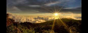 Mystic Rainforest Chillout Mix – The Green Edition Del Mar