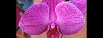 Dub Techno Music Set In The Mix #6 By Klaüs.