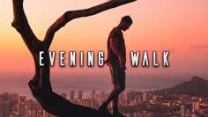 Evening Walk | Chill Mix