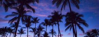 Relaxing Lounge music: Ambient Chillout music, Backgound music, Relax chill