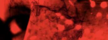 Techno Rave Visuals [Altum 005]