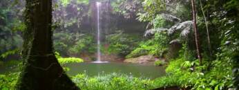 Ambient for Relaxation and Meditation – TropicalWaterfall