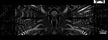 ☠ Cracky Koksberg – Chillig bis Geisteskrank I TEKKNATION I