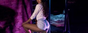 Animal Picnic Melodic Diggers °2022