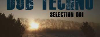 Dub Techno || Selection 061 || Fog & Frost
