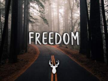 Freedom | Chill Out Mix