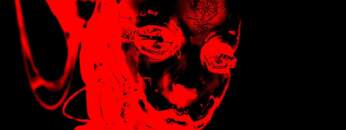 Yan Cook | Erratic Podcast 151