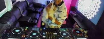 DJ PRINCE (NO) – LIVE SET: FUNKY & GROOVY House