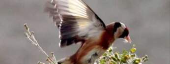 Technasia @ Elrow Halloween 2016