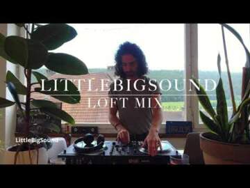 Groovy House Classics DJ Set I LittleBigSound Live Mix