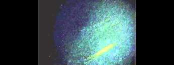 Modeselektor, Bok Bok, Hackman, Dark Sky, Pearson Sound, Disclosure etc