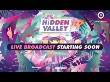 Sub Focus DJ set live at Hidden Valley Festival in