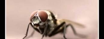 Format B – Ministry of Sound Saturday Session – 17-07-2010