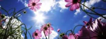 Melodic Techno V36 (Malecka, Reinier Zonneveld, Nils A, Aalson, Ben