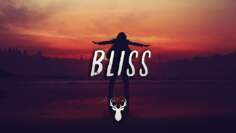 Bliss | Chillstep Mix