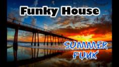 Funky & Disco House Mix 2021 | Purple Disco Machine