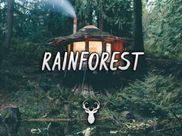 Rainforest | Chill Mix
