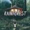 Rainforest | Chill Mix