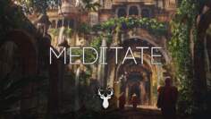 Meditate | Ambient Mix