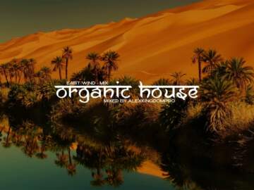 Organic House Mix (Oliver Koletzki, Stavroz, Luka, etc) East Wind