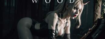 Dark Techno / EBM / Industrial Bass Mix ‘THE WOOD’