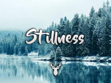 Stillness | Winter Chill Mix