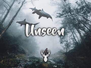 Unseen | Beautiful Chill Mix