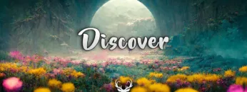 Discover | Chill Music Mix