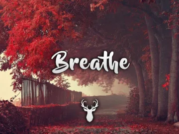 Breathe | Chill Music Mix