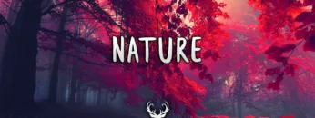 Nature | Chill Mix