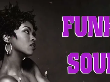 R&B SOUL FUNK MIX | Soulful R&B Funky Disco House