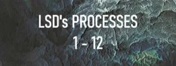 Process 1-12 Mix | LSD (Luke Slater, Steve Bicknell, Function)