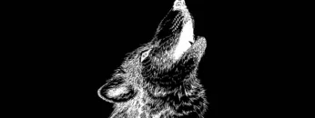 Stil vor Talent Podcast063 – Reinier Zonneveld