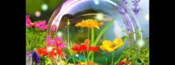 Tresor Never Sleeps feat Cocoon Loves Tresor Tobi Neumann and