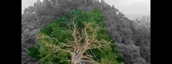 Tresor-Berlin-Mix (Ellen Allien & Modeselektor)