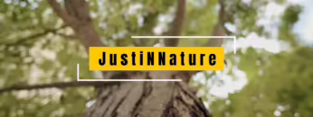 Ben Böhmer – Lane 8 – Sultan + Shepard –