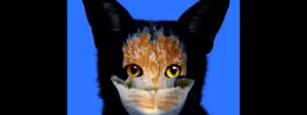 GALANTIS – Seafoxchella Coachella 2014 Live Set