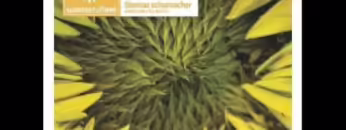 XMAG ‎– Thomas Schumacher – Elektronatur Home Mix