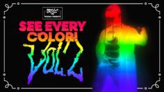 SEE EVERY COLOR! Vol. 2 ⟷ the MK 2024 showcase