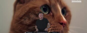Live From Studio Blasé – Disco / House / Cats