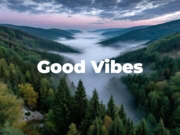 Good Vibes 🌴 Chill House Music 🌞