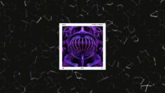 Beico – Unreal Times [Spannung Records]