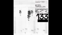 Björn Torwellen – The Overstayer Protocol [CLR133]