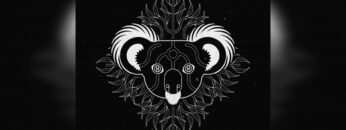 HI-LO – KOALA (Extended Mix)