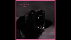 Steady – Original Mix (Recondite)