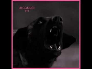 Steady – Original Mix (Recondite)