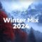 Winter Cozy Mix ❄️ Chill Winter Music to Calm Down