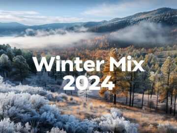 Winter Cozy Mix ❄️ Chill Winter Music to Calm Down